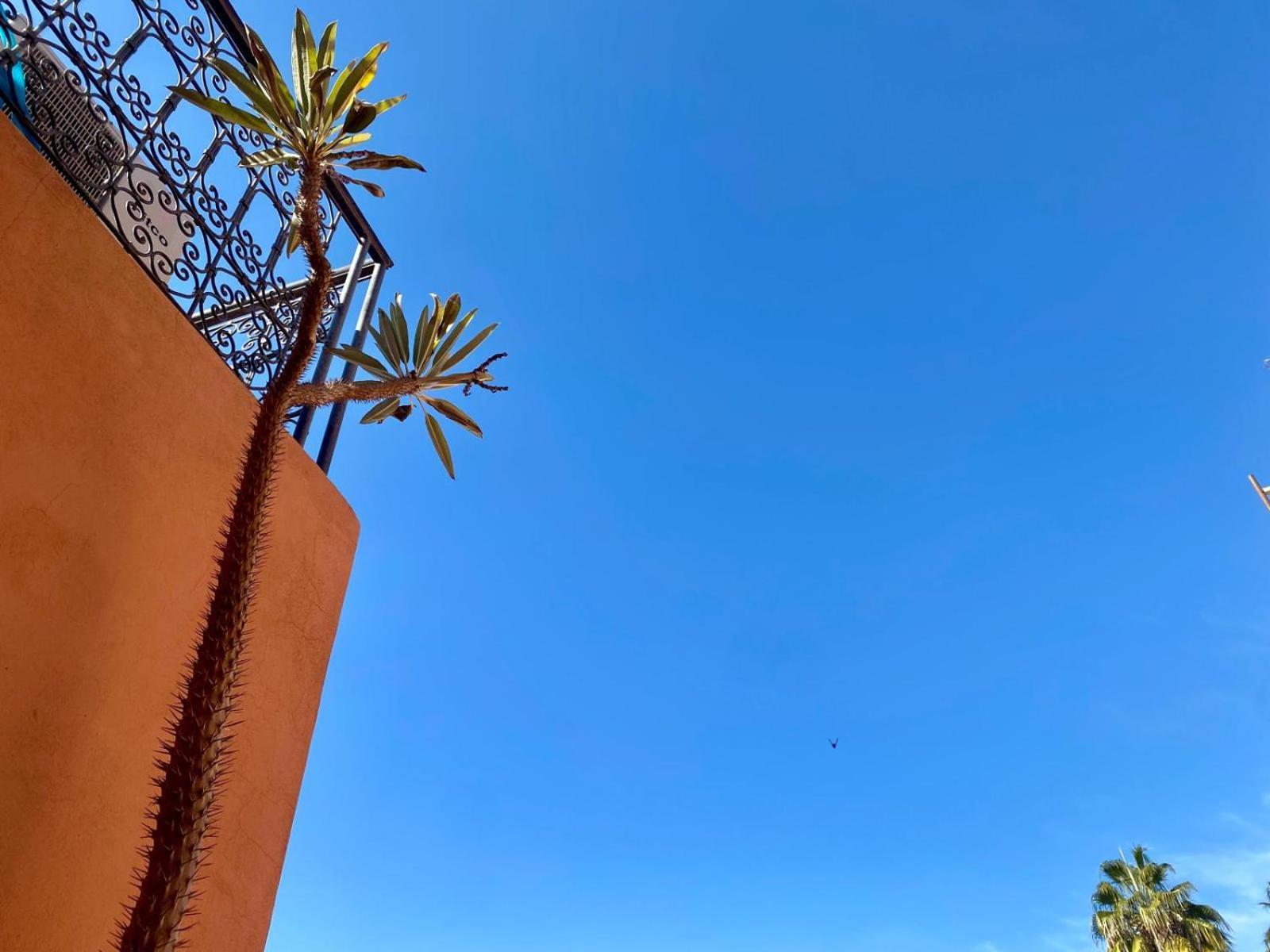 Alchimiste - Privatif Au Coeur De Marrakech Medina Marrakesh